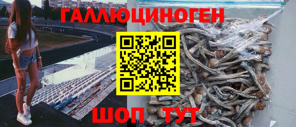 Псилоцибиновые грибы Magic Shrooms  Вход с VPN  Псилоцибиновые грибы прущие грибы  Прокопьевск 
